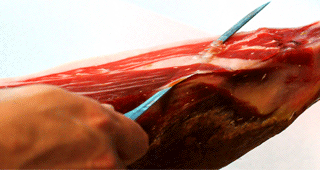 Optimización de corte. Cortador de jamón Valencia